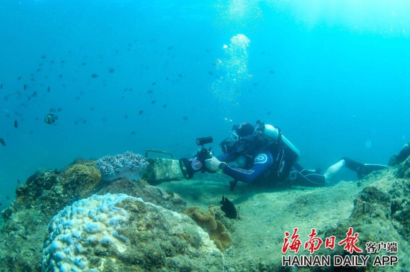 艾迪芬奇的记忆