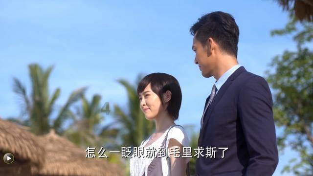 解救金刚鹦鹉